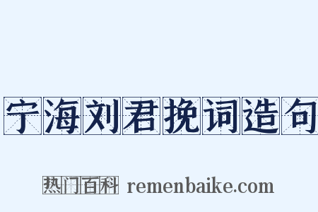 宁海刘君挽词造句是什么意思的图片